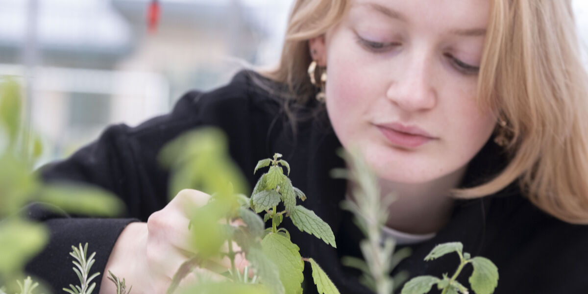 Female horticulture student working on small plants