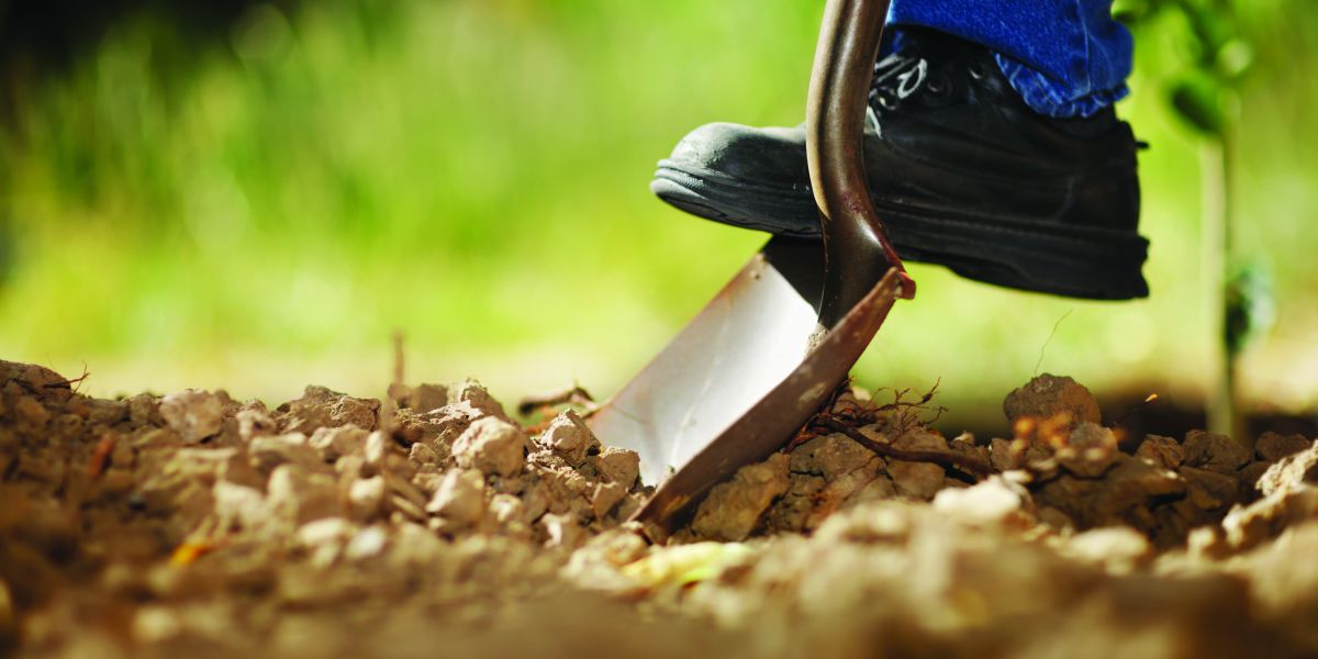 Horticulture - Digging Soil