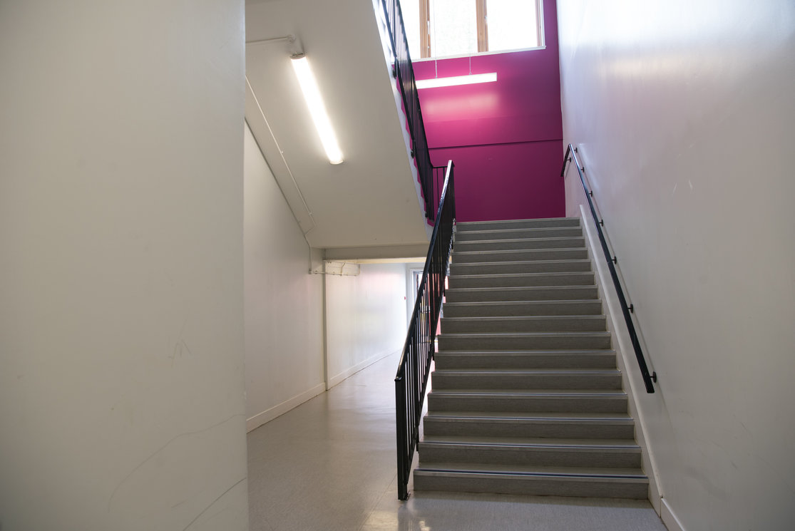 Cardonald staircase coloured wall gallery