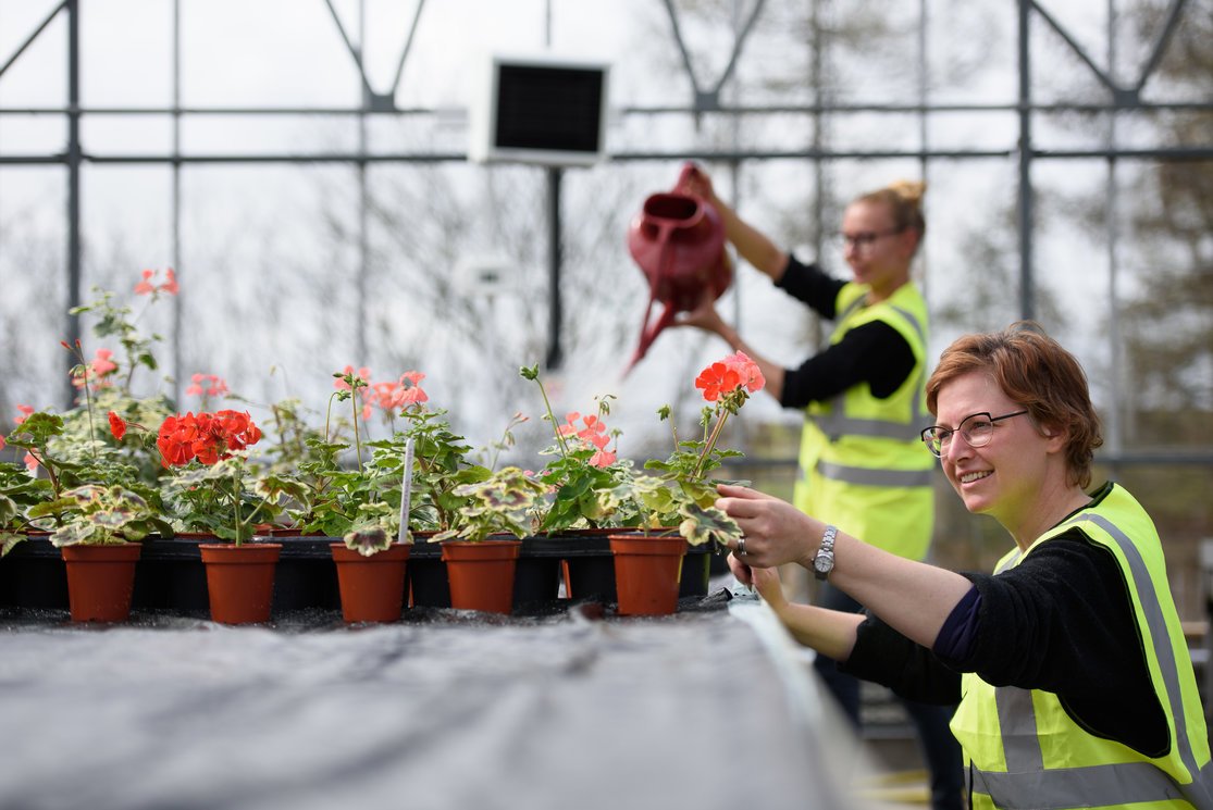 Hnc horticulture student close up 5 gallery