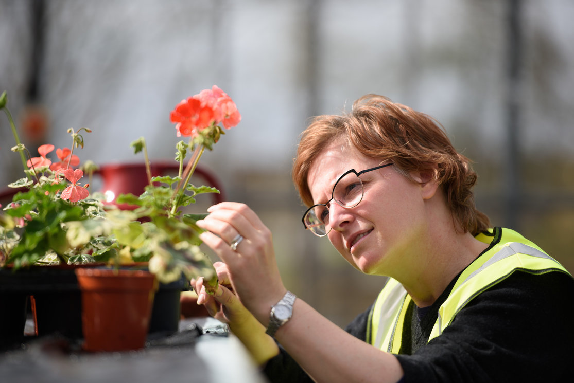 Hnc horticulture student close up gallery