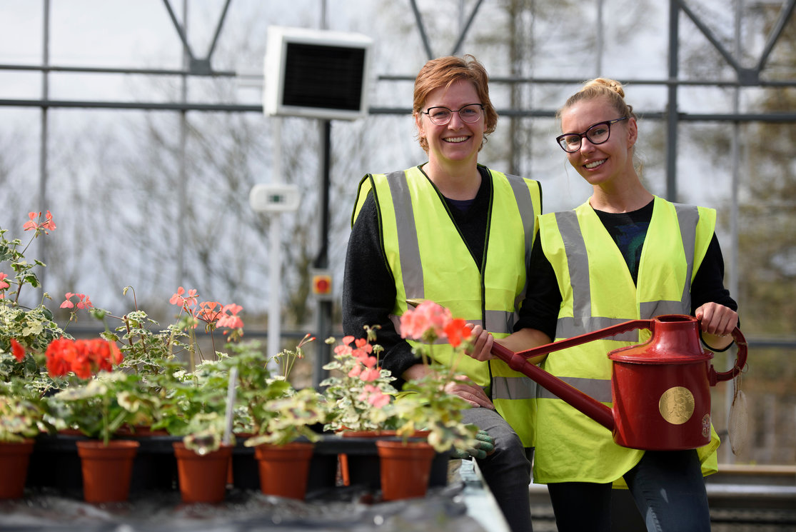 Hnc horticulture students watering can 4 gallery