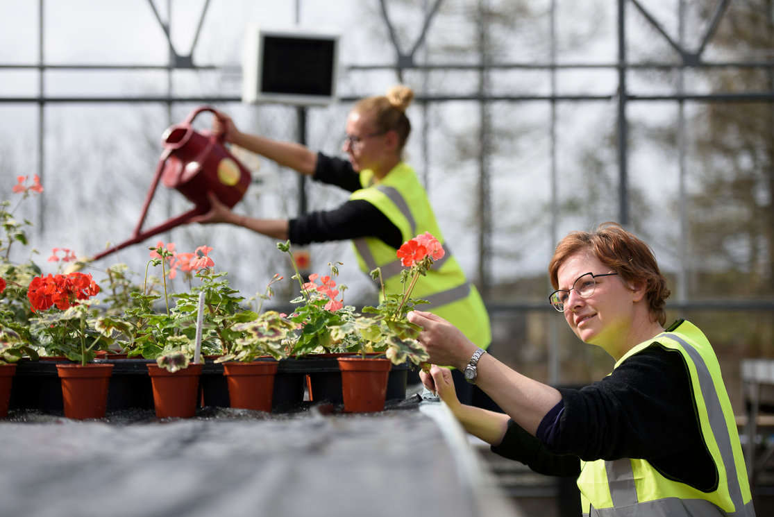 Hnc horticulture students watering can 6 gallery
