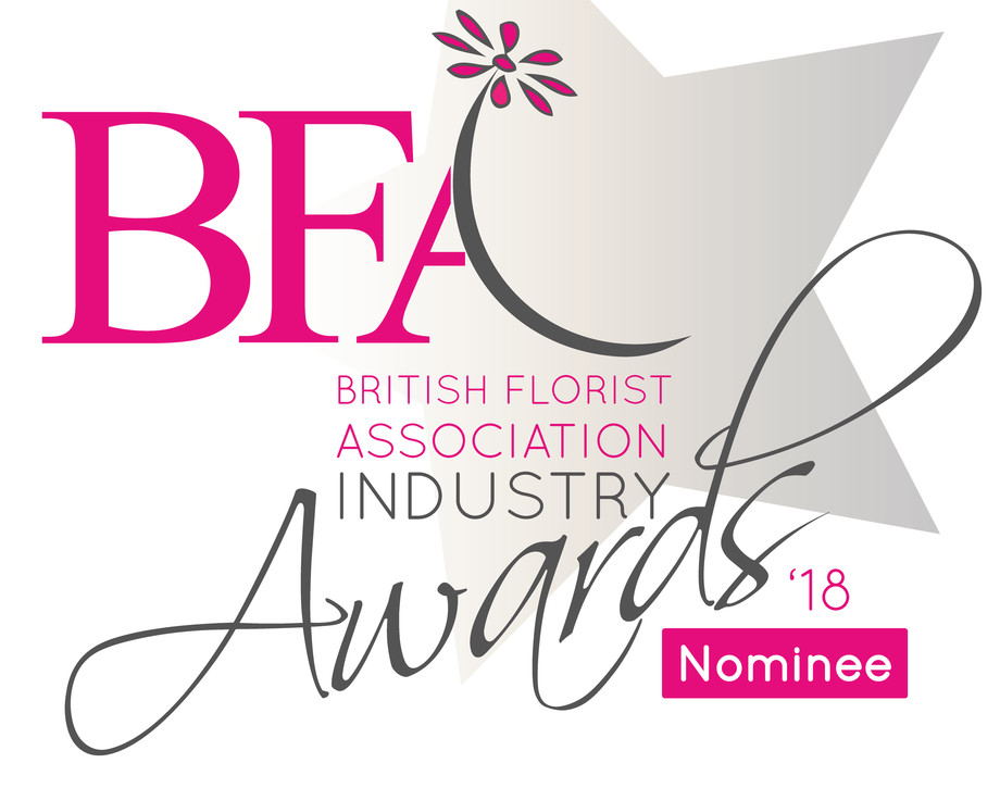 BFA Industry awards'18 high res. nominee