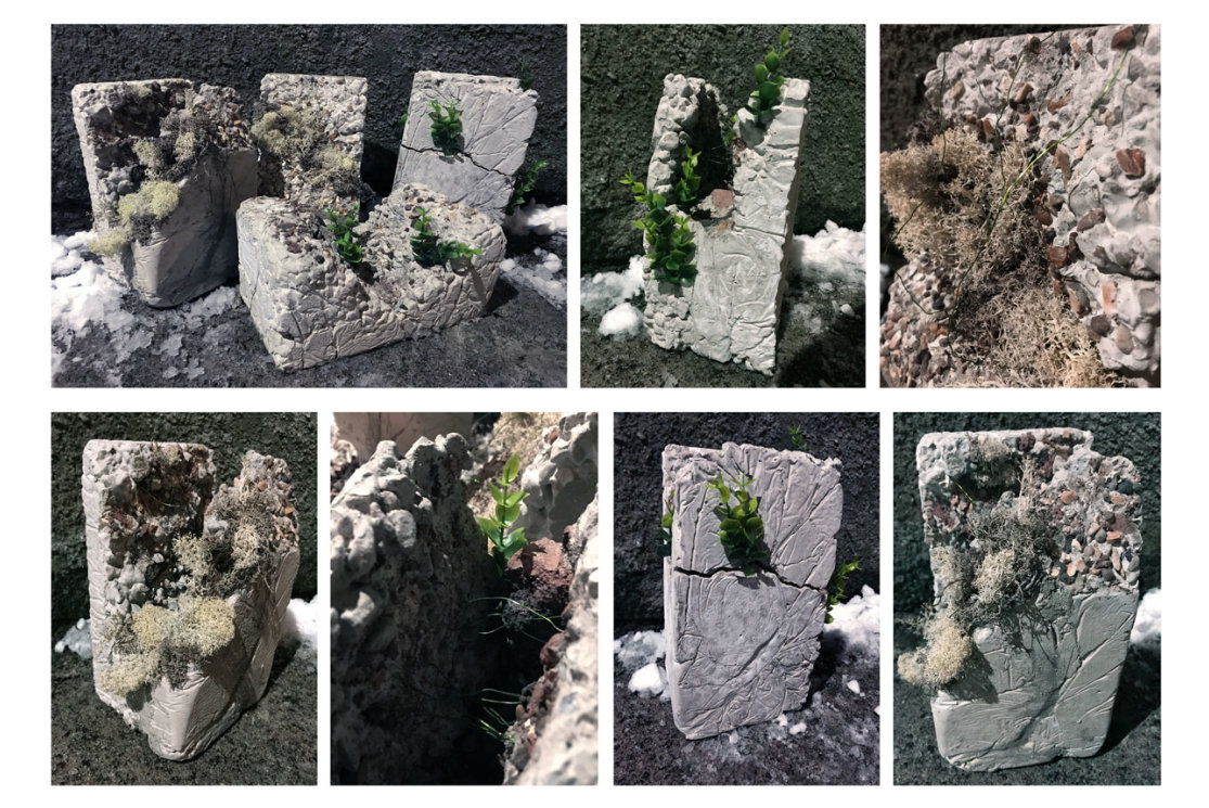 Nature over concrete gallery