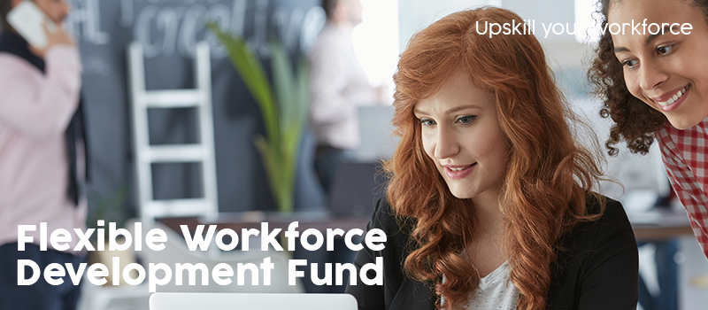 Flexible Workforce Development Fund