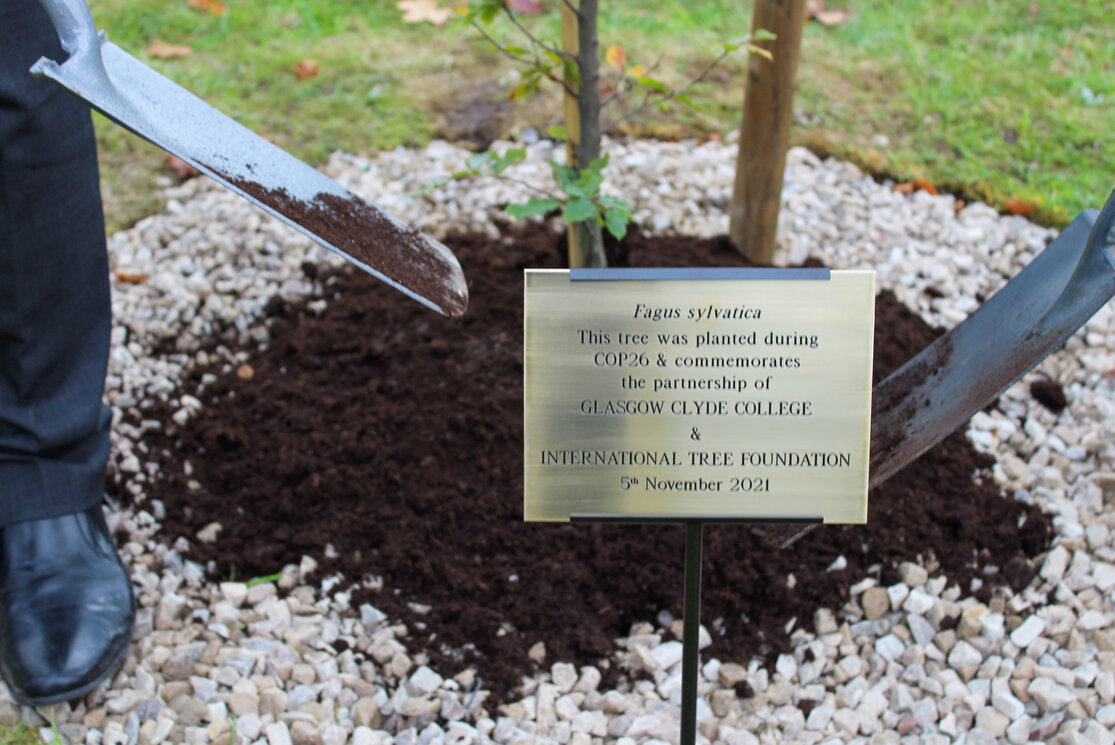 Tree planting plaque