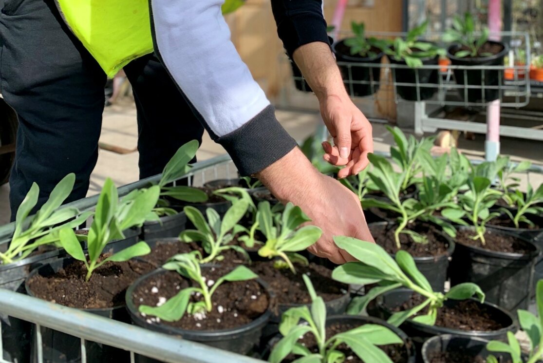 Male student in greenhouse gallery