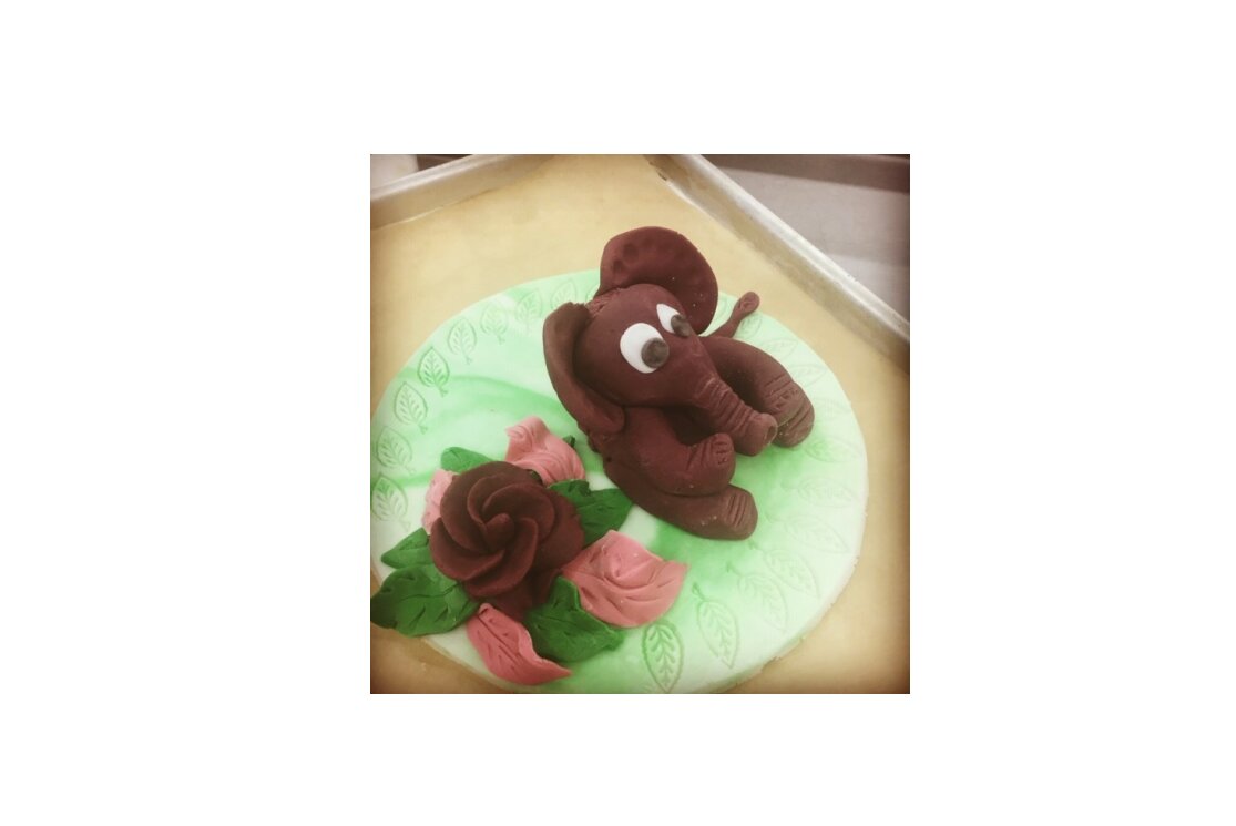 Modellingforcakes gallery
