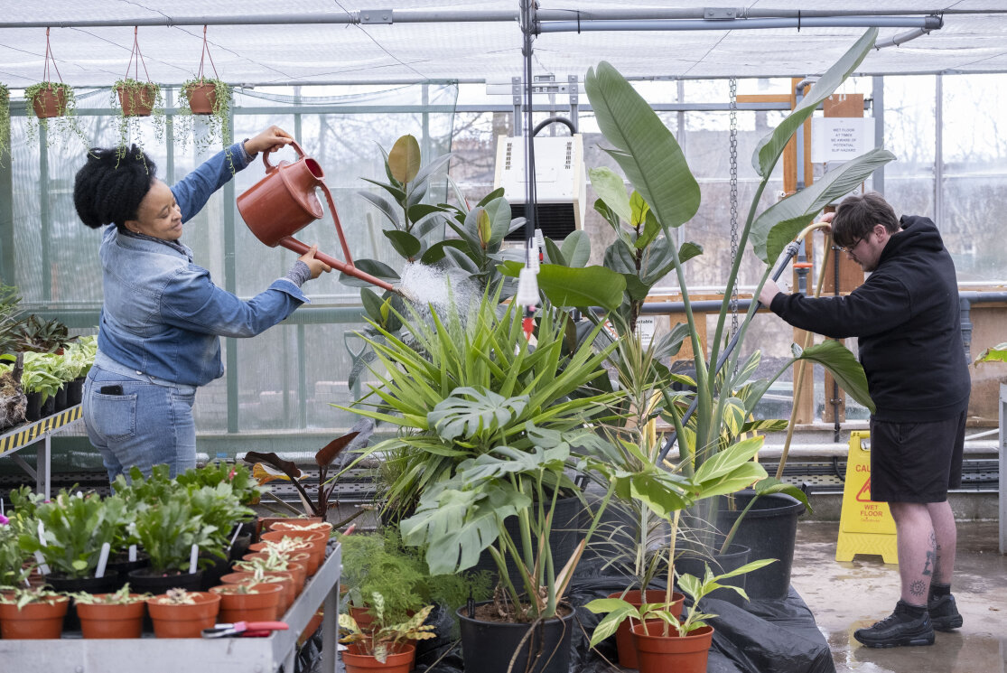 Male and female horticulture students watering plants in glasshouse gallery