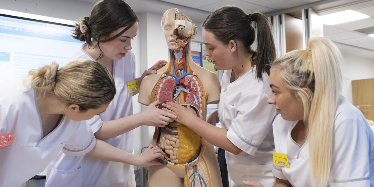 Healthcare students with an anatomical model.