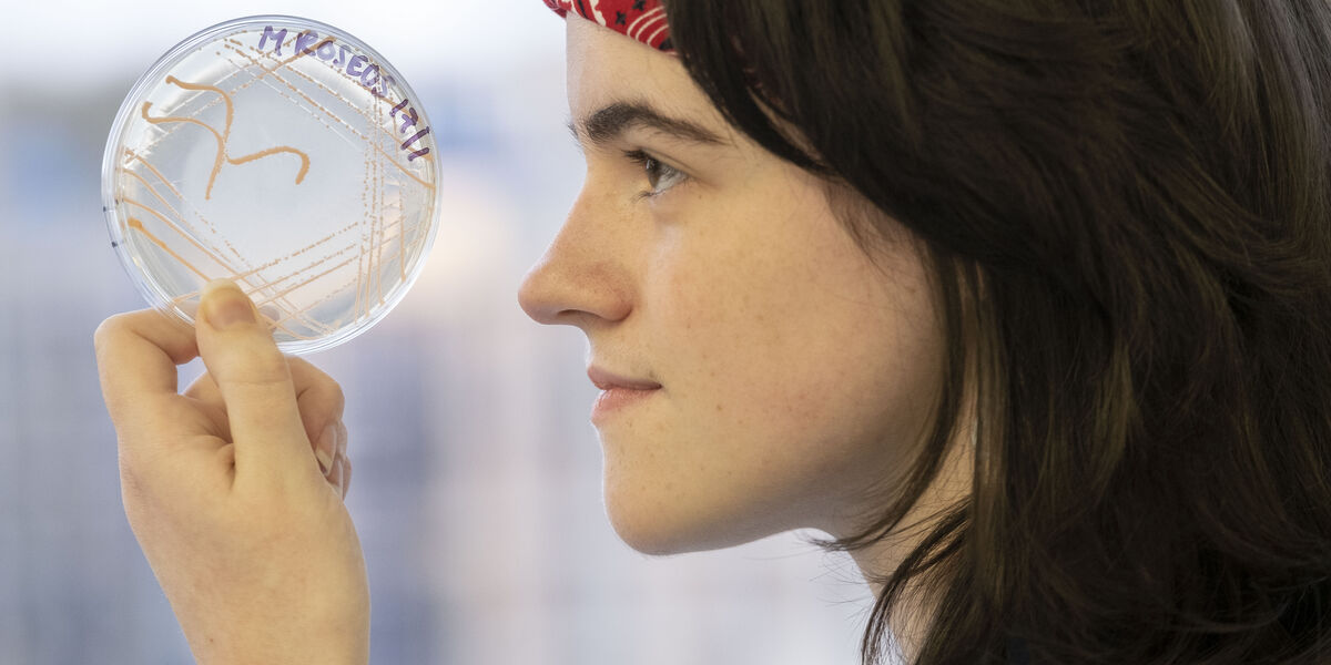 Student holding up a petri dish