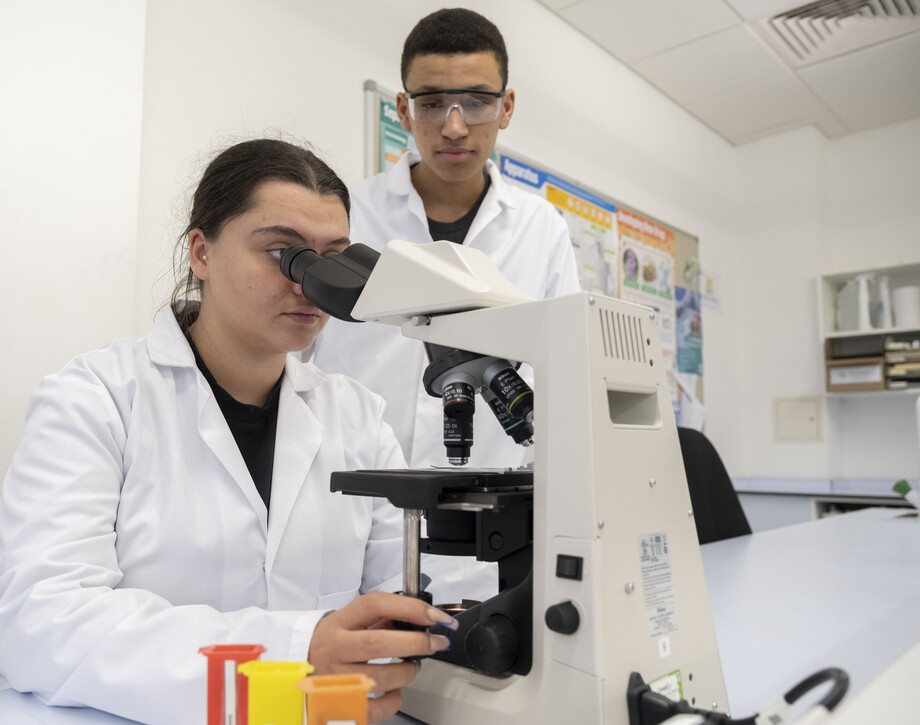 Two science students working on an experiment in the lab.