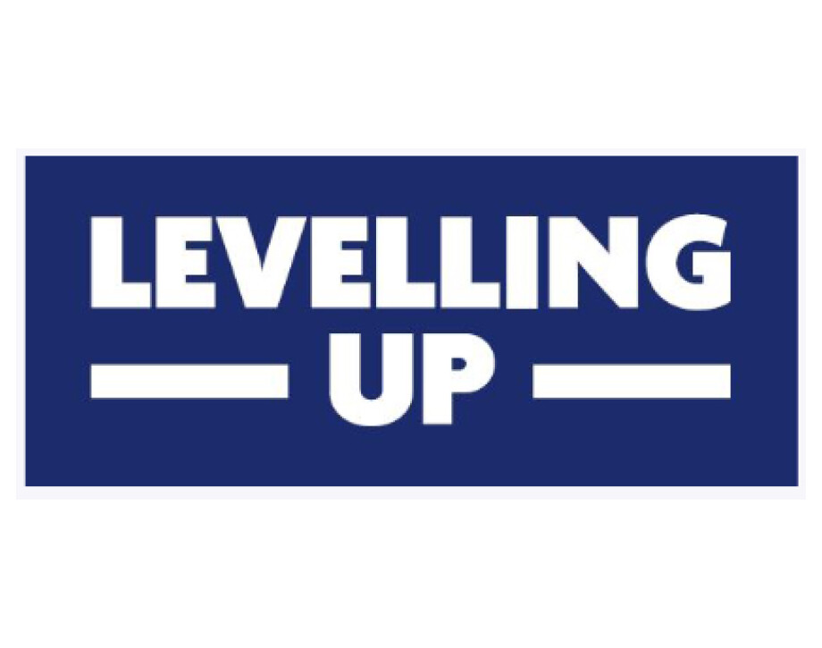 Levelling Up Logo