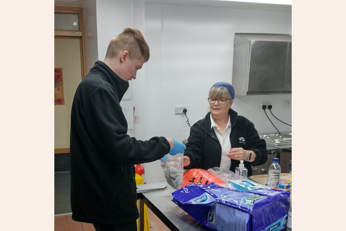 Dfn project search 2 gallery