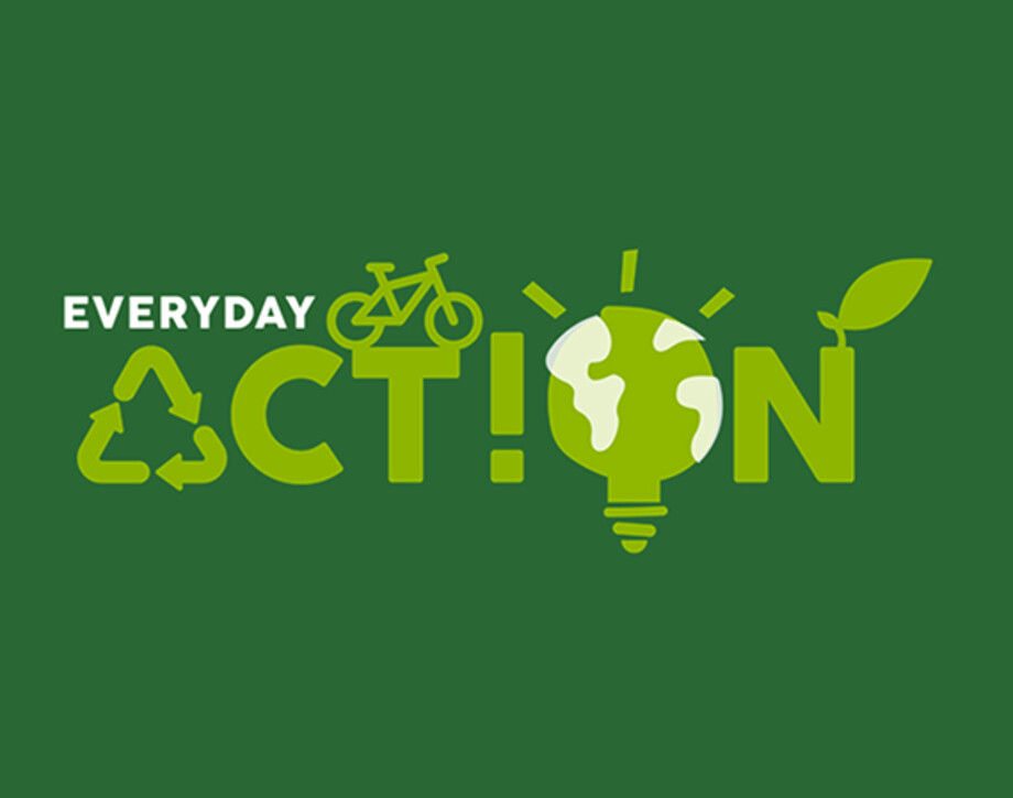 Everyday action web